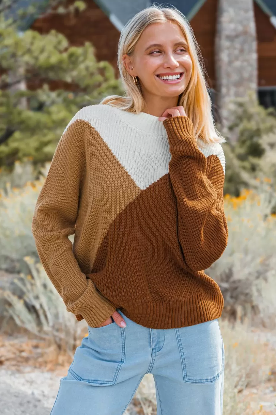 Shop Cupshe Autumn Colorblock High Neck Long Sleeve Sweater Brown