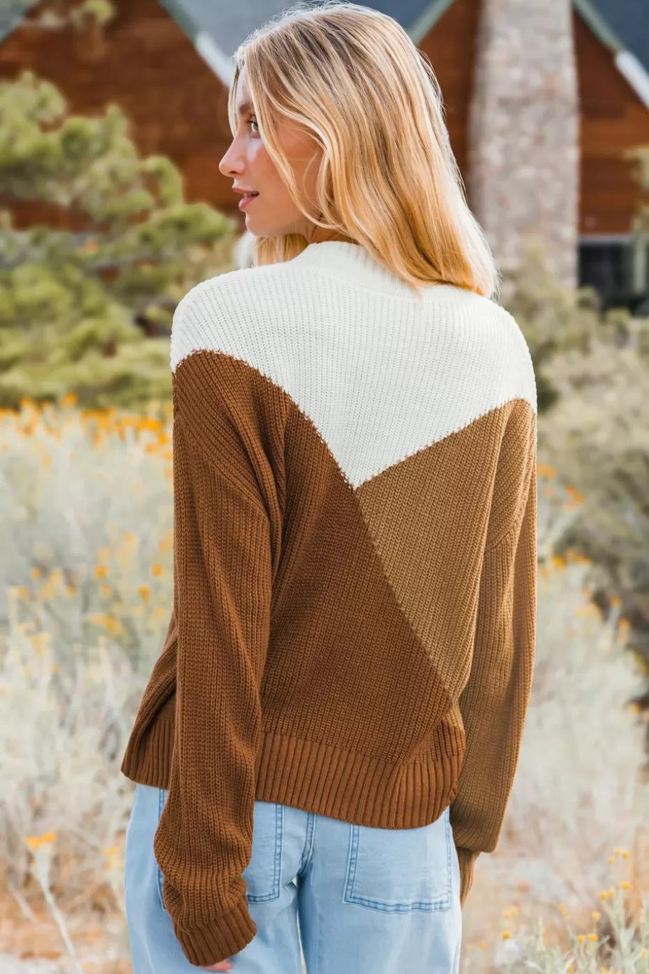 Shop Cupshe Autumn Colorblock High Neck Long Sleeve Sweater Brown