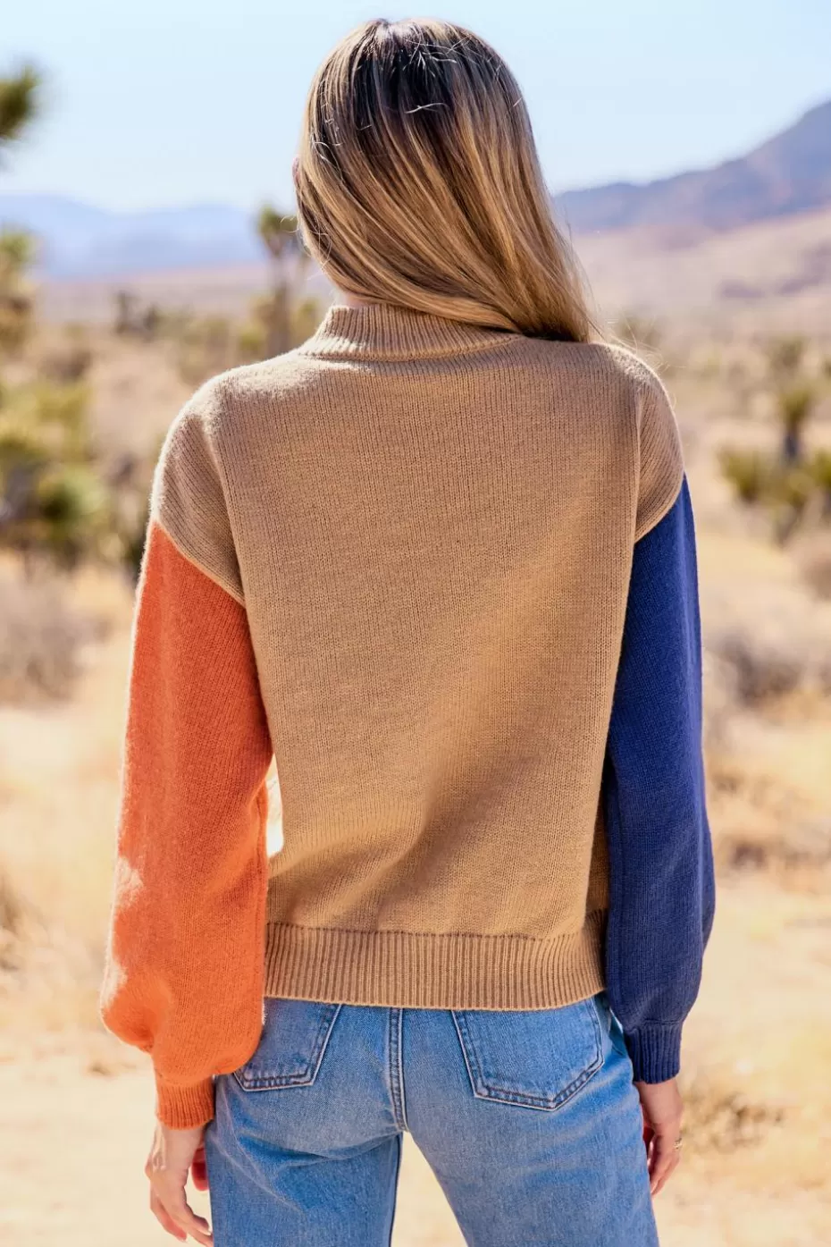 Cheap Cupshe Colorblock Long Sleeve Mockneck Sweater Top Brown