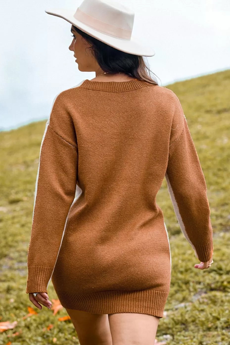 Store Cupshe Neutral Colorblock Long Sleeve Mini Sweater Dress Beige